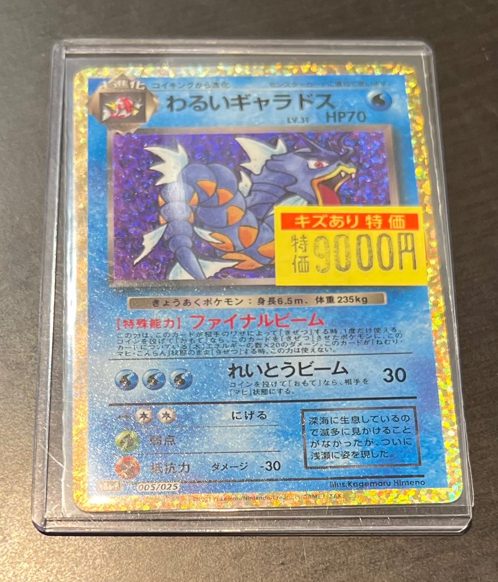 わるい まとめ売り わるいギャラドス わるいバンギラス キラ ADV 良品あり ✨ポケモンカードゲーム✨ ⭐️わるいギャラドス(プロモ)(25th)(005