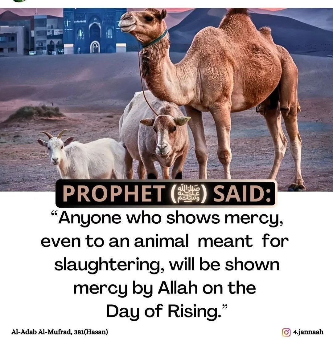 Mahdii_365's tweet photo. The Prophet (ﷺ) said: https://t.co/uSlzrRdkYI
