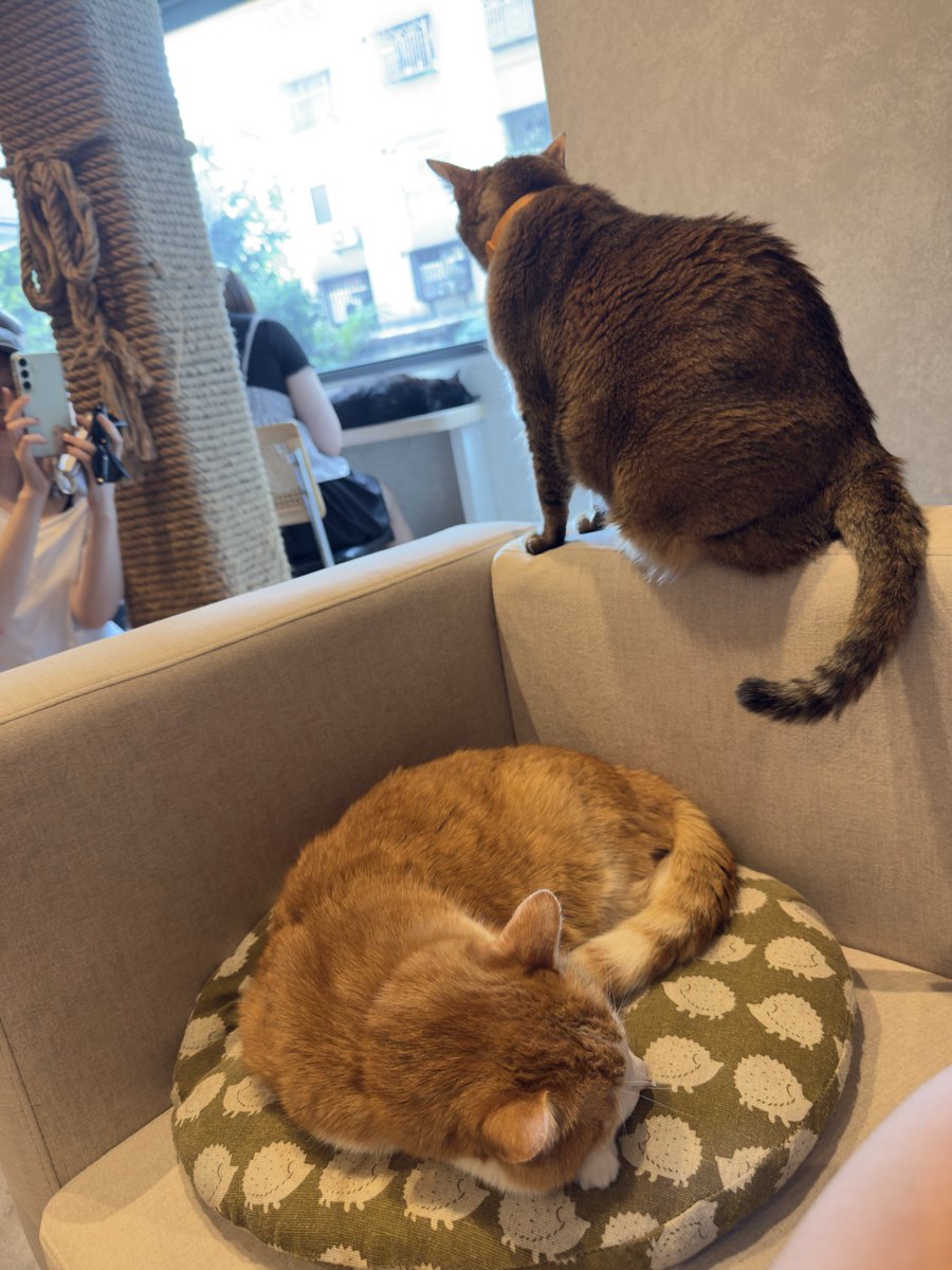 HikariTim's tweet photo. 😳 https://t.co/6BR7RUIULp