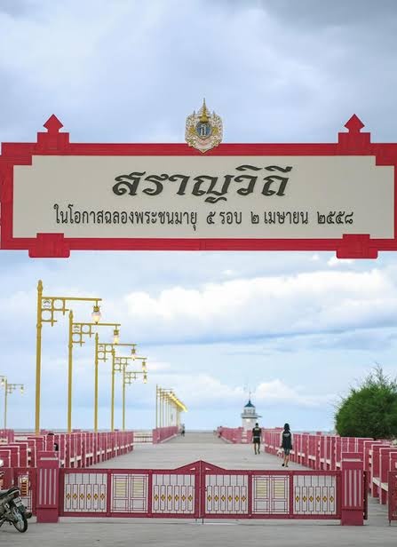 SW.มือใหม่ tweet media