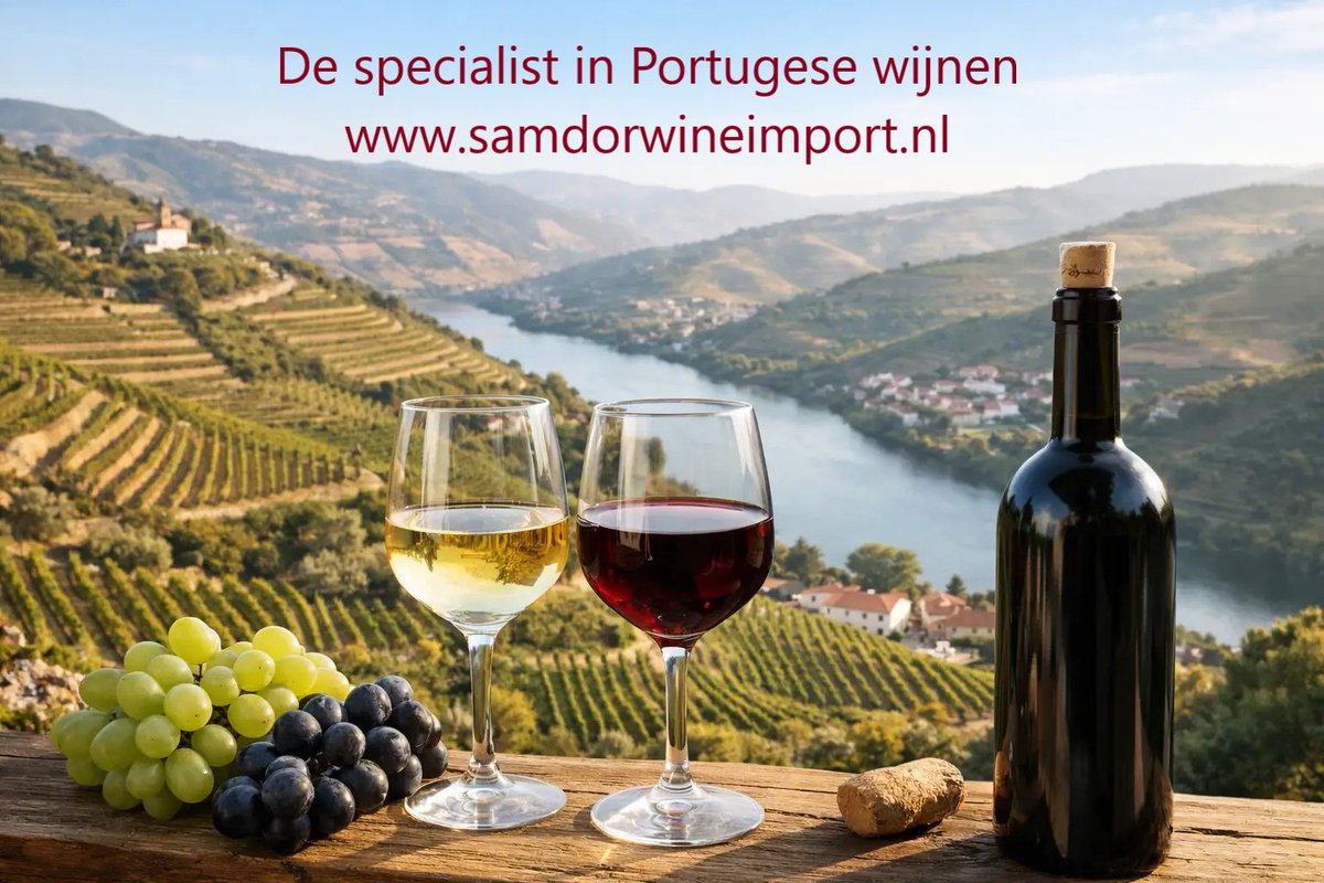 SWIPortugal's tweet photo. Portugese wijnstreken uitgelegd
Wie Portugese wijn alleen kent van een krachtige Douro of een frisse Vinho Verde, mist een groot deel van het verhaal. Met portugese wijnstreken uitgelegd wordt snel duidelijk waarom Portugal zo geliefd is bij wijnliefhebbers die nét iets spannenders zoeken dan het gebruikelijke supermarktassortiment. De verschillen zijn enorm: van granieten hooglanden tot hete vlaktes, van zilte kustinvloed tot steile terraswijngaarden, en dat proef je terug in het glas.
Portugal is als wijnland bijzonder omdat het tegelijk klassiek en verrassend is. Het land werkt met een schat aan inheemse druivenrassen, veel oude stokken en sterk regionale wijnculturen. Daardoor krijg je wijnen met karakter, vaak uitstekende prijs-kwaliteit en een duidelijke herkomst. Precies dat maakt Portugese wijn zo interessant voor aan tafel, als cadeau of gewoon voor wie bewuster wil kiezen.
Portugese wijnstreken uitgelegd: waarom regio alles bepaalt
Bij Portugese wijn is de streek geen detail, maar het vertrekpunt. Natuurlijk speelt de wijnmaker een grote rol, net als rijping op hout of de gekozen blend. Toch bepaalt de regio vaak de stijl: fris of rijp, strak of zwoel, mineraal of juist kruidig en vol.
Ook handig om te weten: Portugal werkt veel met blends van lokale druiven. Op het etiket staat dus niet altijd één bekende druif centraal, zoals bij veel internationale wijnen. Daarom helpt kennis van de streek vaak meer dan kennis van één druivenras. Wie de regio begrijpt, kiest sneller een wijn die past bij het moment en het gerecht.
Douro
De Douro is waarschijnlijk de bekendste wijnstreek van Portugal, en terecht. Dit is het gebied van spectaculaire steile hellingen langs de rivier, van oude wijngaarden en van een van de meest karaktervolle rode wijnen van Europa. Naast port komen hier tegenwoordig ook prachtige stille wijnen vandaan.
Droge rode Douro-wijnen zijn vaak krachtig, donker van fruit en stevig van structuur. Je proeft regelmatig bramen, zwarte kersen, kruiden, cacao en soms een tikje balsamico. Dat maakt ze uitstekend bij rood vlees, wild of stevige stoofgerechten. Tegelijk zijn er ook verfijndere Douro-stijlen, zeker van hoger gelegen percelen, met meer spanning en frisheid.
Wit uit de Douro is nog altijd minder bekend, maar vaak verrassend goed. Denk aan serieuze witte wijnen met body, rijp steenfruit en mineraliteit. Geen allemansvriend, wel heel interessant aan tafel.
Dão
Dão is een streek die veel liefhebbers blijft verrassen. Gelegen tussen bergen, met granietrijke bodems en een gematigder klimaat, levert dit vaak elegantere wijnen op dan de Douro. Waar Douro meer spierkracht kan hebben, draait Dão vaker om finesse, frisheid en structuur.
Rode Dão-wijnen hebben meestal een verfijnde kruidigheid, rood en donker fruit en een mooie zuurgraad. Touriga Nacional speelt hier vaak een hoofdrol, maar in een stijl die bloemiger en slanker overkomt dan veel mensen verwachten. Dit zijn wijnen die uitstekend passen bij geroosterd vlees, paddenstoelen en gerechten waar elegantie belangrijker is dan pure kracht.
Ook wit uit Dão verdient aandacht. Op hoogte gemaakte witte wijnen kunnen strak, mineraal en gastronomisch zijn. Voor liefhebbers van witte wijn met spanning is dit een regio om te onthouden.
Alentejo
Alentejo heeft in Nederland een groot publiek gevonden, en dat is logisch. De streek staat bekend om toegankelijke, rijpe en vriendelijk drinkbare wijnen. Het klimaat is warm en droog, waardoor rode wijnen vaak zacht, rond en gul zijn, met veel donker fruit en een soepele afdronk.
Dat maakt Alentejo aantrekkelijk voor wie Portugese wijn wil ontdekken zonder meteen in heel strakke of uitgesproken stijlen te vallen. Denk aan rode wijnen met pruimen, zwarte bessen, kruiden en soms een vleug vanille door houtrijping. Heerlijk bij barbecue, gegrild vlees en harde kazen.
Toch is Alentejo breder dan alleen warm en vol. Er zijn ook hoger gelegen delen en producenten die bewust op frisheid werken. Daardoor vind je er naast publieksfavorieten ook verrassend precieze, gastronomische wijnen. Het hangt dus sterk af van producent en subregio.
Vinho Verde
Vinho Verde wordt nog te vaak gezien als simpel terraswit met een licht sprankeltje. Dat beeld is te beperkt. Ja, er zijn frisse, jonge en heel dorstlessende wijnen uit deze regio. Maar Vinho Verde kan ook serieus, strak en complex zijn.
De streek ligt in het groene noorden van Portugal en profiteert van Atlantische invloed. Dat zorgt voor levendige zuren en een frisse stijl. Witte wijnen op basis van alvarinho, loureiro of avesso kunnen citrusachtig, bloemig, mineraal of juist iets rijper en voller zijn. De lichtere varianten zijn perfect als aperitief of bij schaal- en schelpdieren. De serieuzere versies kunnen moeiteloos aan tafel staan bij vis, kip en zelfs romige gerechten.
Voor wie graag fris drinkt maar iets originelers zoekt dan standaard sauvignon blanc of pinot grigio, is Vinho Verde vaak een schot in de roos.
Bairrada
Bairrada ligt dichter bij de Atlantische kust en heeft een reputatie opgebouwd met krachtige rode wijnen en mousserende wijn. De klassieke rode stijl, vaak op basis van baga, kan stevig, zuurfris en tanninerijk zijn. Dat vraagt soms wat geduld of de juiste maaltijd, maar levert dan veel karakter op.
Bairrada is daarom niet altijd de meest makkelijke instapregio, wel een van de interessantste. Goed gemaakte wijnen uit deze streek combineren structuur met frisheid en hebben vaak een bijna hartige diepte. Wie houdt van klassieke wijnstijlen met ruggengraat, zit hier goed.
Daarnaast is Bairrada ook sterk in mousserend. Door het koele klimaat en de natuurlijke zuren ontstaan hier bruisende wijnen met finesse en gastronomische inzetbaarheid.
Setúbal
Setúbal is voor veel mensen onlosmakelijk verbonden met Moscatel de Setúbal, en dat is volledig terecht. Deze versterkte wijn is aromatisch, rijk en verleidelijk, met tonen van sinaasappelschil, honing, rozijnen en specerijen. Een prachtige keuze bij desserts, blauwe kaas of gewoon als meditatief glas na het eten.
Maar Setúbal maakt meer dan alleen versterkt zoet. In de bredere regio, inclusief het schiereiland rond Palmela, komen ook interessante rode en witte tafelwijnen vandaan. Vaak iets zonrijper van stijl, maar met voldoende fraîcheur door de nabijheid van zee. Dat maakt de streek veelzijdiger dan veel mensen denken.
Lisboa
Lisboa is een grote, gevarieerde wijnregio ten noorden van Lissabon. Door de invloed van de Atlantische Oceaan blijven wijnen hier vaak verrassend fris, zelfs wanneer het fruit rijp is. Dat levert toegankelijke wijnen op met veel drinkplezier.
Rood uit Lisboa kan soepel en fruitig zijn, wit vaak levendig en aromatisch. Het is een streek waar prijs en kwaliteit elkaar vaak op een aantrekkelijke manier ontmoeten. Niet elke wijn is even diep of complex, maar juist voor doordeweeks drinken of een breed inzetbare dinerwijn is Lisboa vaak een slimme keuze.
Tejo
Tejo ligt landinwaarts rond de rivier de Taag en heeft zich de afgelopen jaren sterk ontwikkeld. Waar de regio vroeger vooral op volume werd beoordeeld, komen er nu steeds meer wijnen vandaan met duidelijke kwaliteit en identiteit.
Je vindt hier zowel frisse witte als rijpere rode wijnen. Door de combinatie van rivierinvloed, verschillende bodemtypes en moderne wijnbouw kunnen producenten goed sturen op stijl. Dat maakt Tejo interessant voor wie op zoek is naar veel wijn voor zijn geld, zonder in te leveren op karakter.
Hoe kies je de juiste Portugese streek?
De beste regio hangt minder af van status en meer van smaakvoorkeur. Wie houdt van stevig rood met diepte en donkere tonen, komt vaak uit bij Douro. Wie juist elegantie en verfijning zoekt, voelt zich sneller thuis in Dão. Voor zachte, rijpe en toegankelijke rode wijn is Alentejo een veilige en vaak zeer geslaagde keuze.
Drink je liever wit, dan zijn Vinho Verde en Dão twee heel verschillende maar sterke richtingen. Vinho Verde biedt frisheid en spanning, Dão vaak meer sérieux en gastronomische breedte. Zoek je iets bijzonders voor dessert of kaas, dan is Setúbal moeilijk te overtreffen.
Daarom werkt algemeen advies over Portugese wijn maar tot op zekere hoogte. Portugal is geen land van één stijl. Het is juist een land waar streek, hoogte, druif en producent samen het verschil maken. Dat is precies waarom wij er zo graag mee werken bij Sandor Wine Import: achter elke goede fles zit een herkomstverhaal dat je ook echt terugproeft.
Portugese wijnstreken uitgelegd voor aan tafel
Wie praktisch wil kiezen, kan ook vanuit het gerecht denken. Douro en Alentejo passen vaak goed bij rood vlees en rijke sauzen. Dão is prachtig bij verfijndere vleesgerechten, gevogelte en gerechten met kruiden of paddenstoelen. Vinho Verde is een natuurlijke partner voor vis, schaal- en schelpdieren en lichte voorgerechten.
Bij romige gerechten of geroosterde vis kan een serieuzere witte Douro of Dão verrassend sterk uitpakken. En voor nagerechten, noten of blauwschimmelkaas blijft Moscatel uit Setúbal een schitterende afsluiter. Het mooie van Portugal is dat je voor vrijwel elk moment een streek vindt die logisch aanvoelt én spannend blijft.
Wie eenmaal verder kijkt dan alleen een bekende naam op het etiket, ontdekt hoeveel rijkdom Portugal te bieden heeft. Begin niet met de vraag wat de beroemdste streek is, maar met de vraag waar jij zin in hebt vanavond - fris, krachtig, elegant of juist verleidelijk zoet.