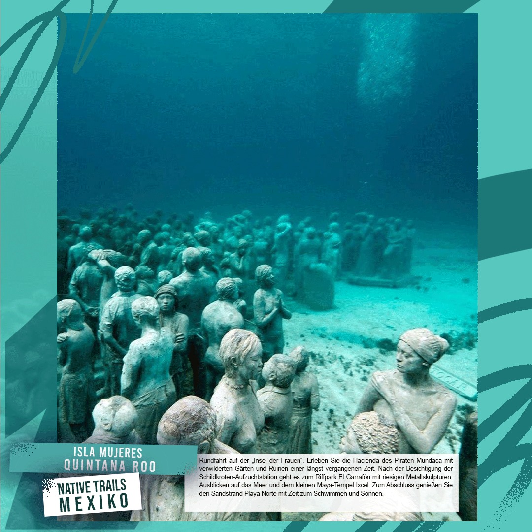 NMexiko's tweet photo. 📍Isla Mujeres, Quintana Roo, Mexiko🇲🇽

#MitNativeTrailsNachMexiko #NativeTrailsMexiko #Mexiko #mexicolindoyquerido #QuintanaRoo

Mehr Informationen 📌 https://t.co/FAFx0hQuM1

✉️Info@nativetrails.de https://t.co/H5zk9pIYvA