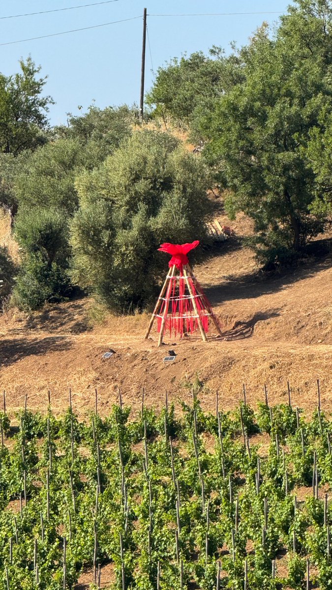 unipa_it's tweet photo. #Festadelle2026 a #Castelbuono: la sinergia tra #UniPa e #Fiasconaro trasforma il paesaggio in laboratorio creativo con studenti da diverse parti del mondo. Info: https://t.co/MvqftvZkJ2 https://t.co/FMny4IDpVq
