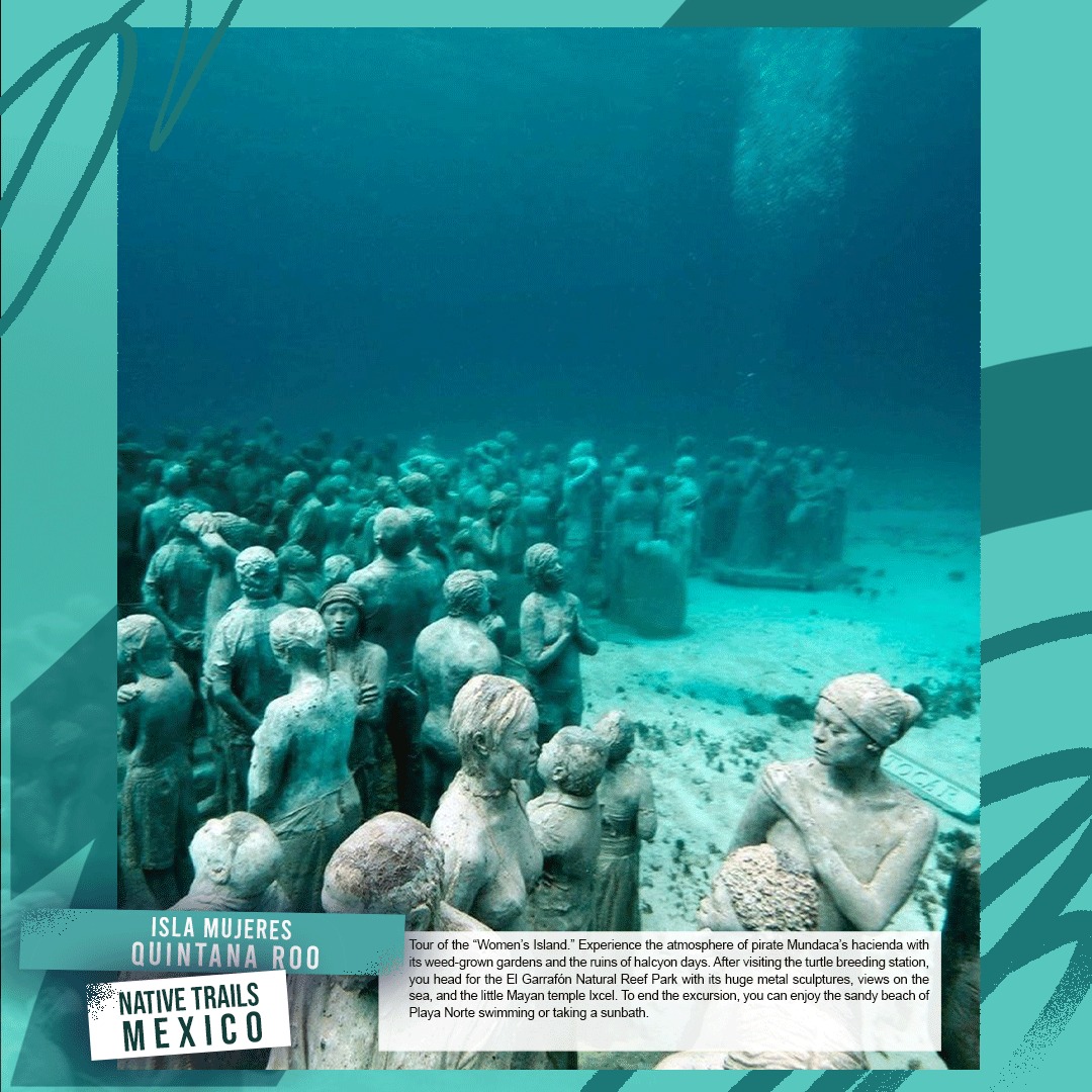 MexicoNative's tweet photo. 📍Isla Mujeres, Quintana Roo, Mexico🇲🇽

#WithNativeTrailsToMexico #NativeTrailsMexico #Mexico #mexicolindoyquerido #QuintanaRoo

More information 📌 https://t.co/FIeLxehEIv

✉️Info@nativetrails.de https://t.co/78pvN2bRWs