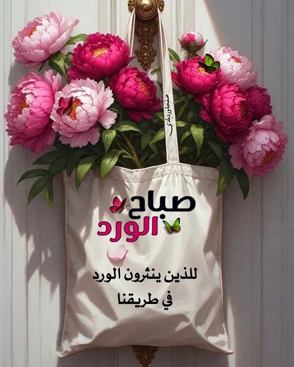 NesmatHowa's tweet photo. #صباح_الخير https://t.co/OqbYfvsckt