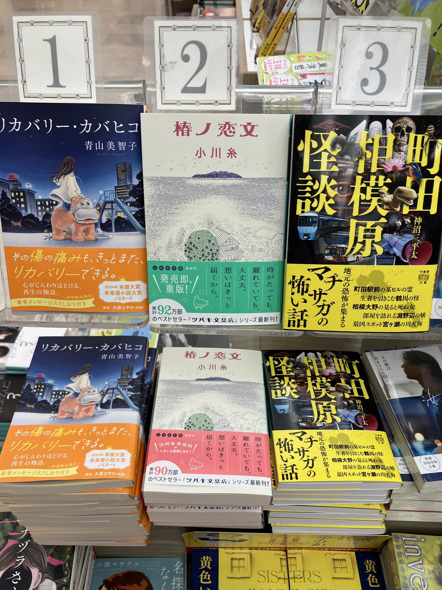 yurindo_hashimo's tweet photo. 【文庫】【週間ベスト】1位は『リカバリー・カバヒコ』！2位は『椿ノ恋文』！3位は『町田相模原怪談』！9位は西加奈子『くもをさがす』！「書店員が選ぶノンフィクション大賞オールタイムベスト2023」大賞受賞作です！ https://t.co/fQrNUhd8Pk
