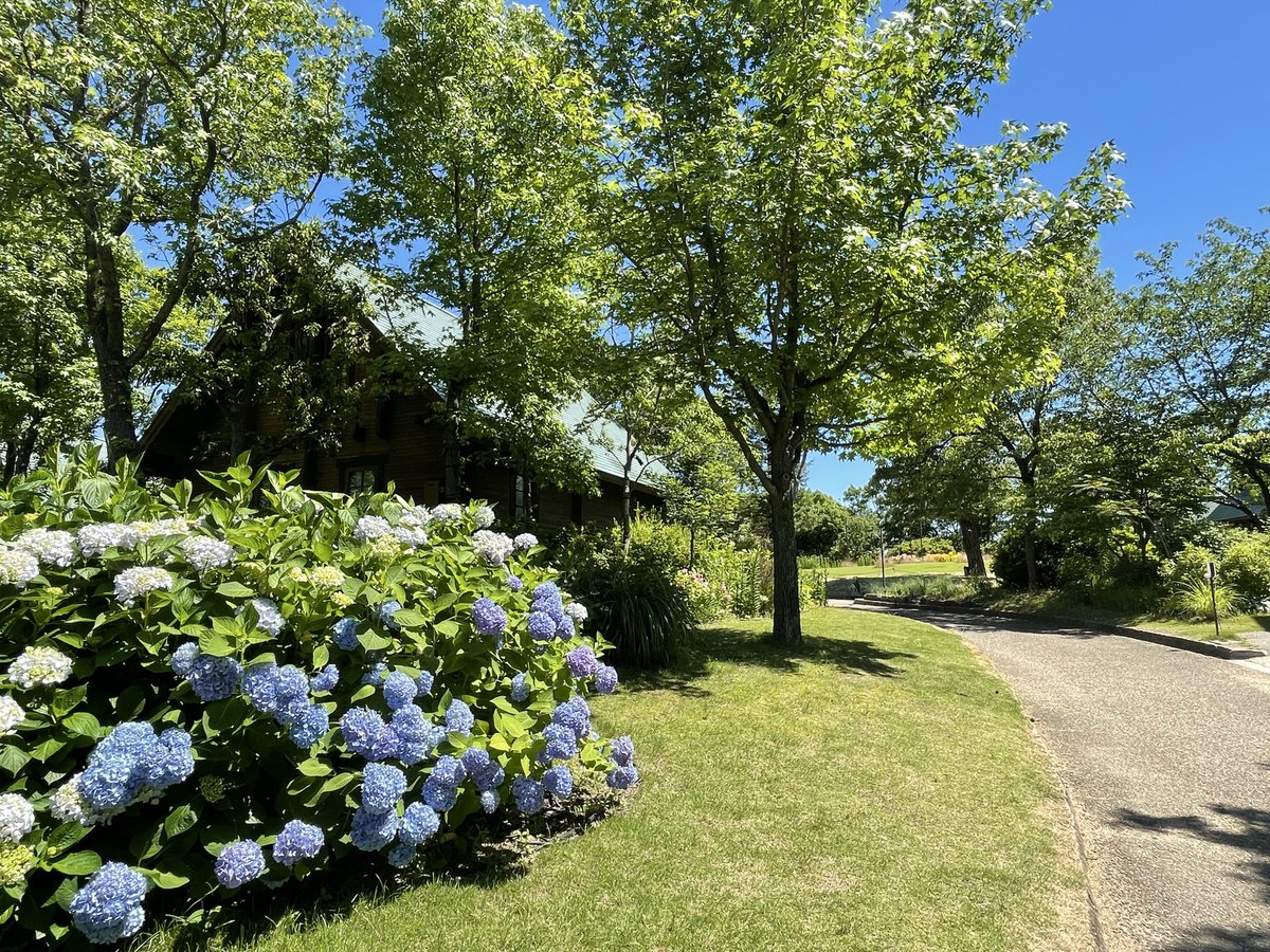 ossan_cycle's tweet photo. 今日は舞洲、夢洲あたりをゆるポタ。
メルヘンなスポットでアジサイ見たり、ヨットハーバーで休憩したり、破壊される万博見てました
#チャリで来妙 https://t.co/ShSkEewFB9