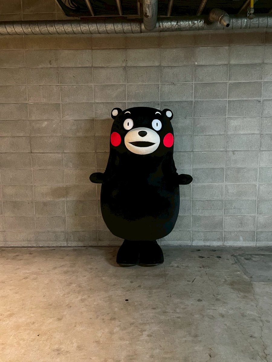 くまモン【公式】 (@55_kumamon) / Posts / X