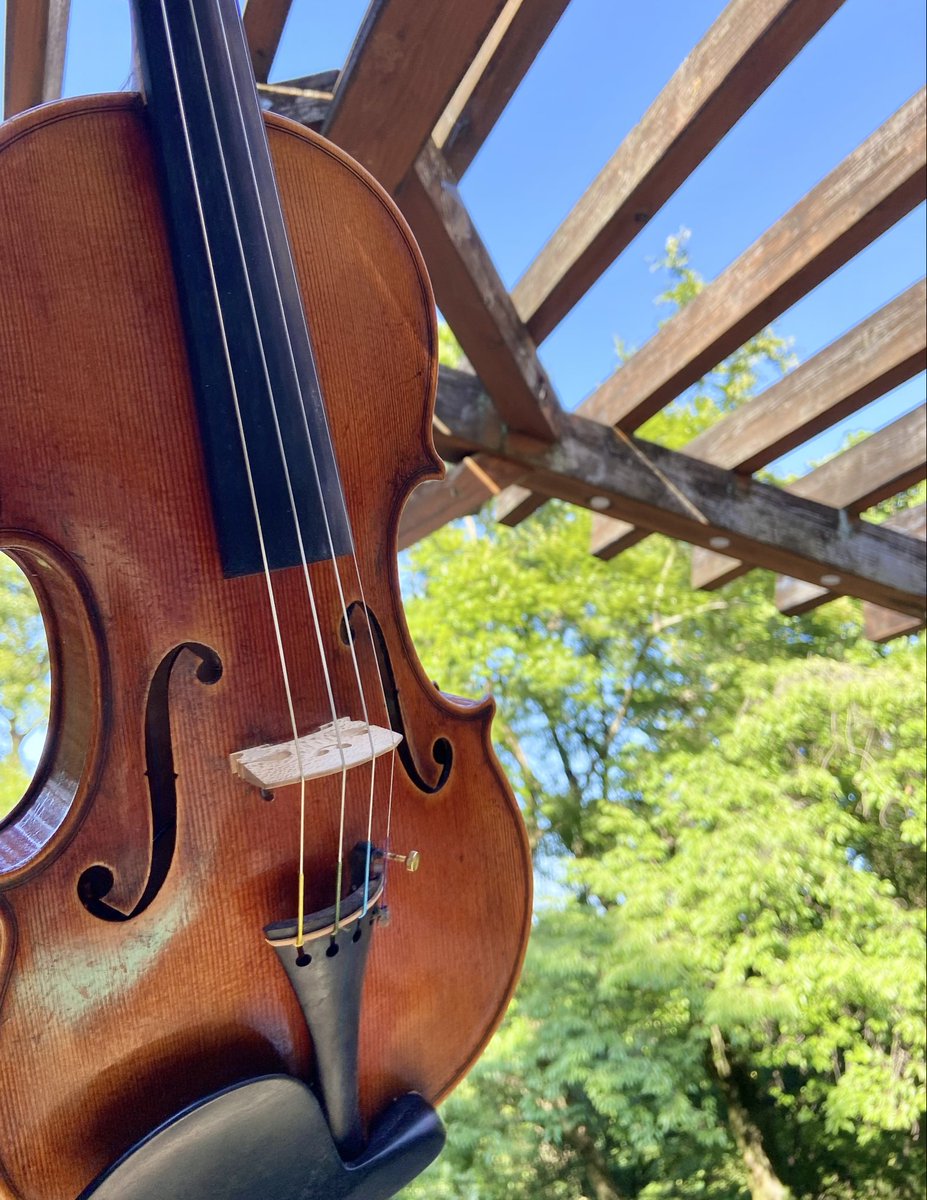 ViolinEisuke's tweet photo. 森の音楽会リハーサルスタート！
良い天気☀️
今年も螢に会えるかな〜 https://t.co/G2BUAOJHyy