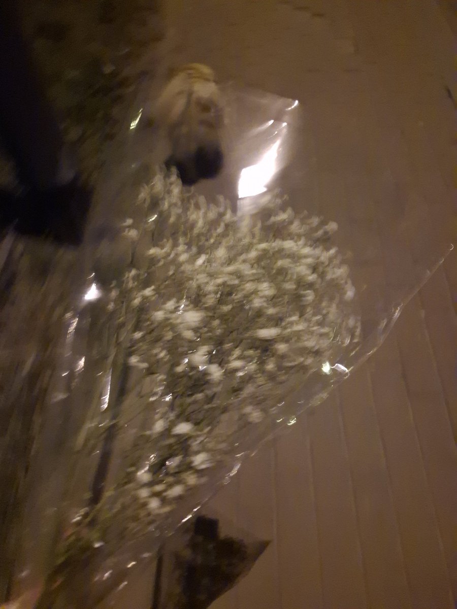 aknotd34d's tweet photo. buying myself flowers for a bad mood instead of starving https://t.co/yllsk5IvQy