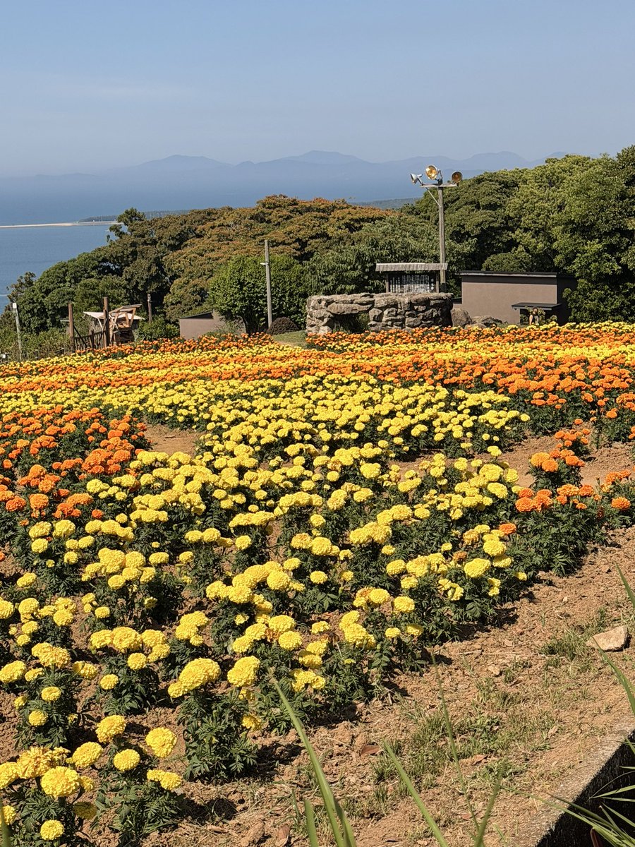 amitmillefe's tweet photo. 須藤叶希と巡る日本の四季

みたいな名前で叶希ちゃんが国内の素敵な場所巡る企画ありませんか？ https://t.co/lrqu7j1h2S