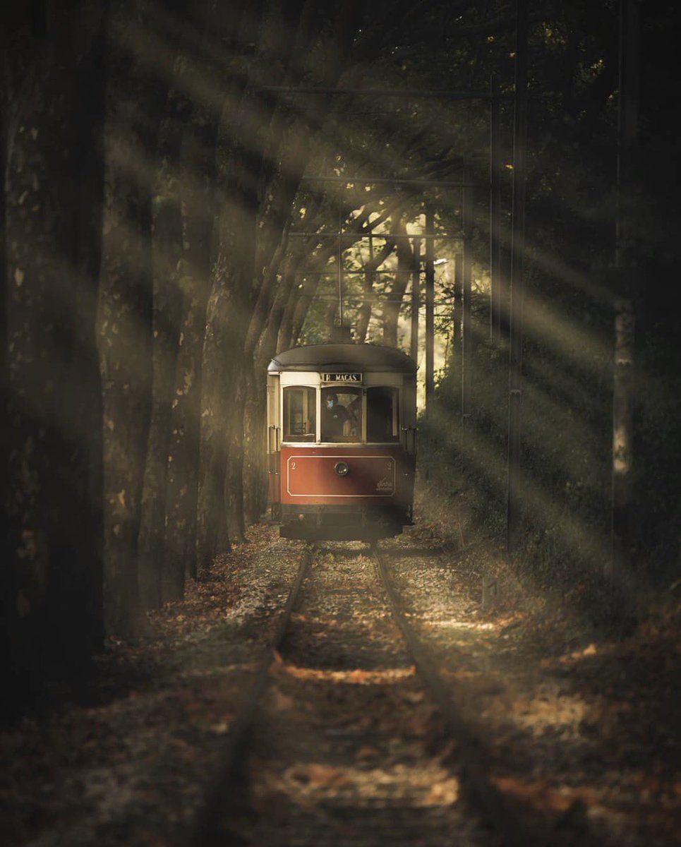 theglobalphotocommunity tweet media