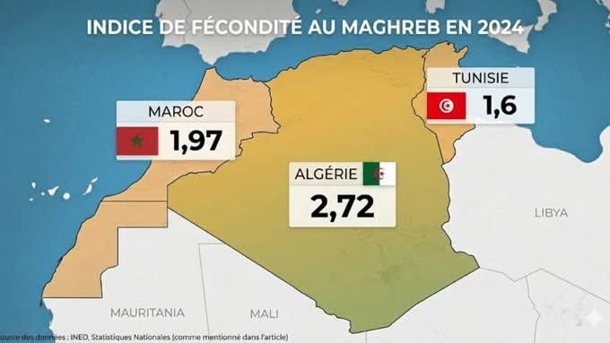 Nasira🇩🇿 Oran tweet media