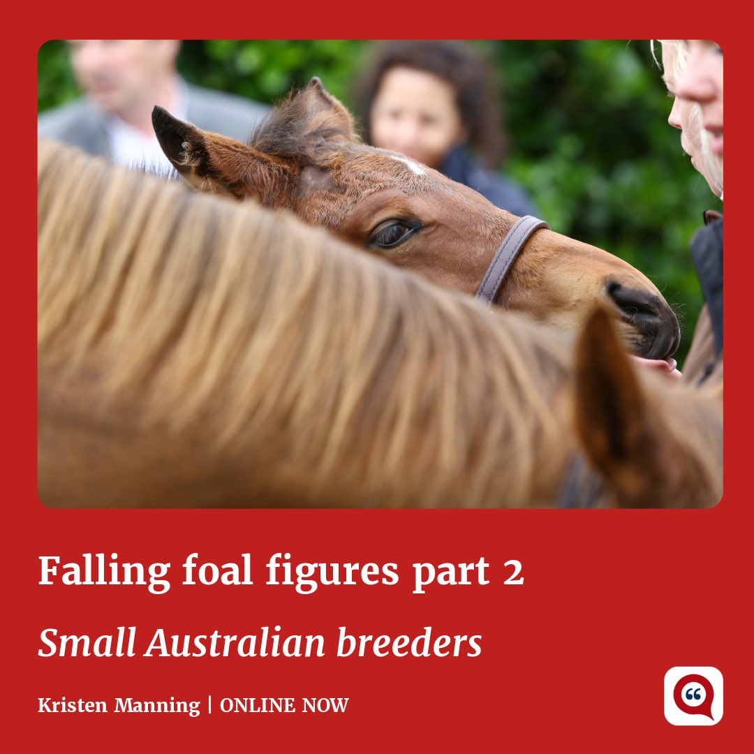 TRCommentary's tweet photo. 🌏 Kristen Manning pens a two-part examination of falling foal crops worldwide.

2️⃣ Kristen hones in on her home country, asking fellow small-time Australian breeders about the challenges they’re contending with.

https://t.co/VRevFuZ9N4 https://t.co/8hMEWO519G