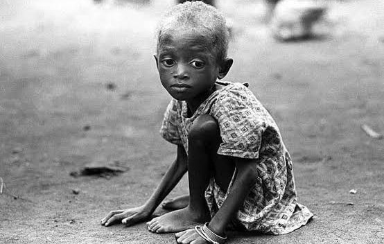 IGBO History & Facts tweet media
