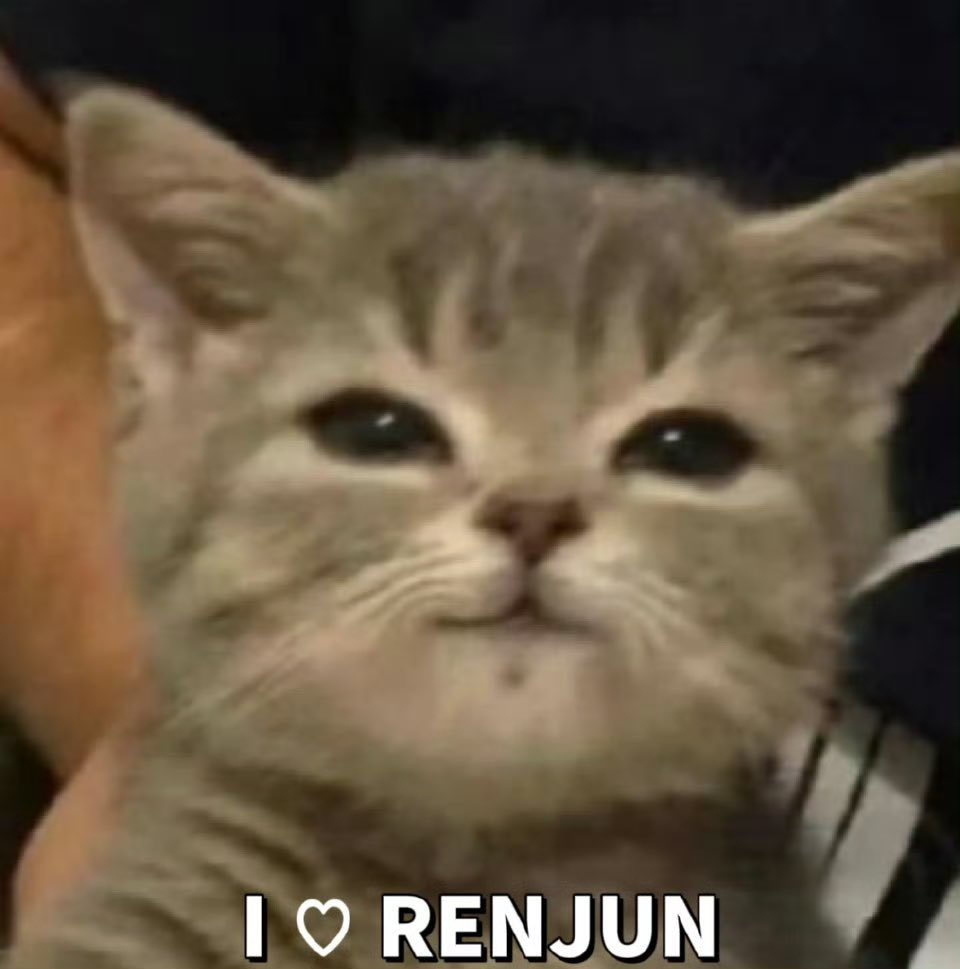 POPCORNBOBO323's tweet photo. 🦊 仁俊没有大家就不是仁俊了！
Without all of you, Renjun wouldn’t be Renjun

 ╥﹏╥ https://t.co/VoykgWnnuz