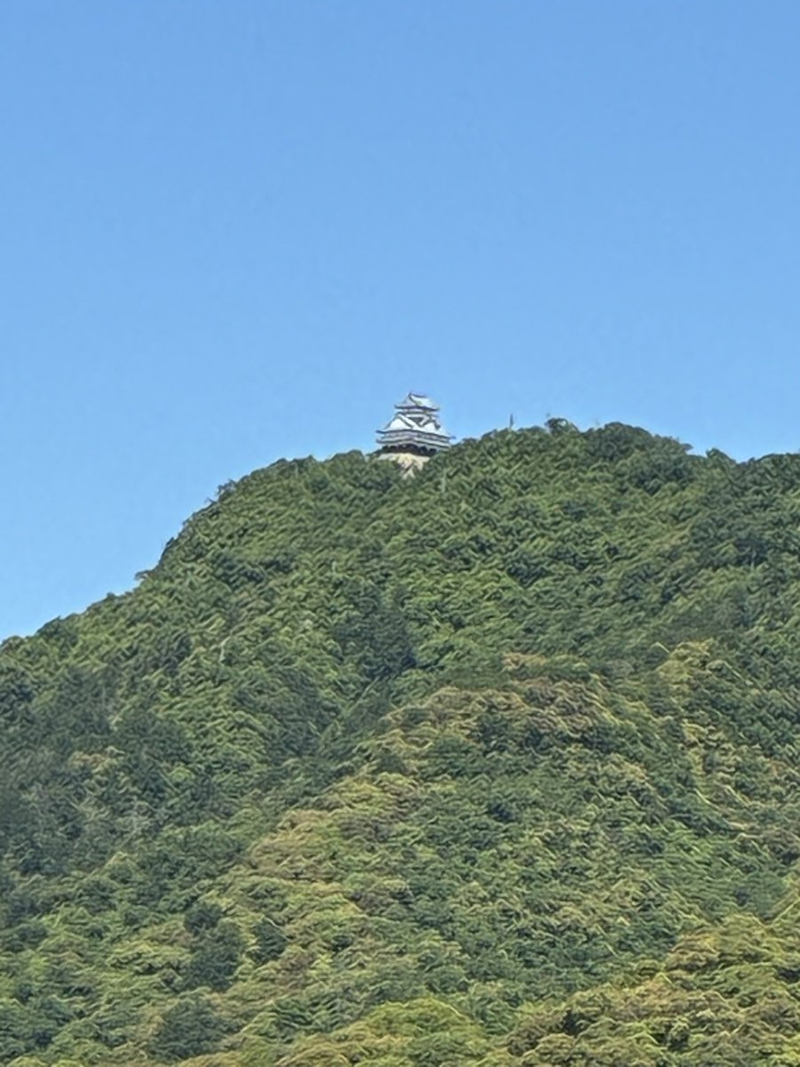 ひとごん tweet media