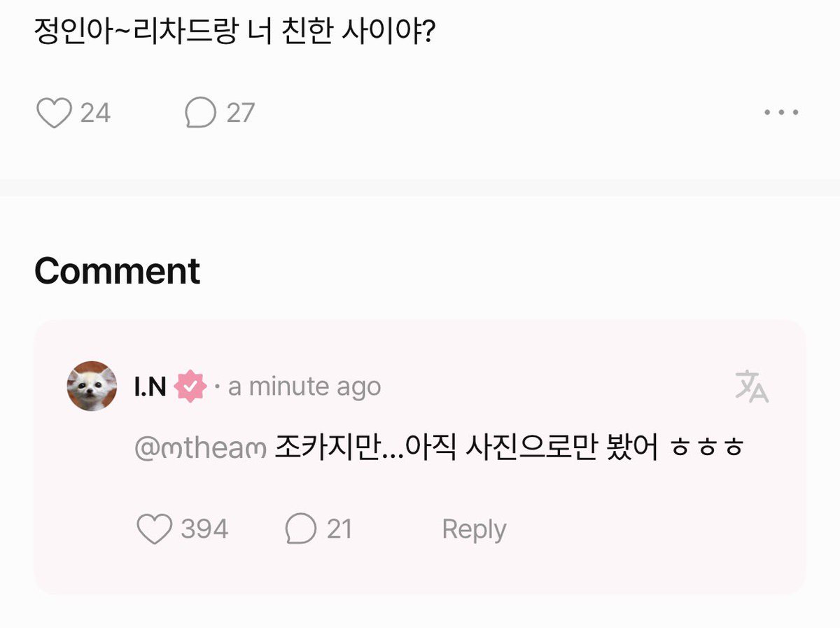비니 tweet media