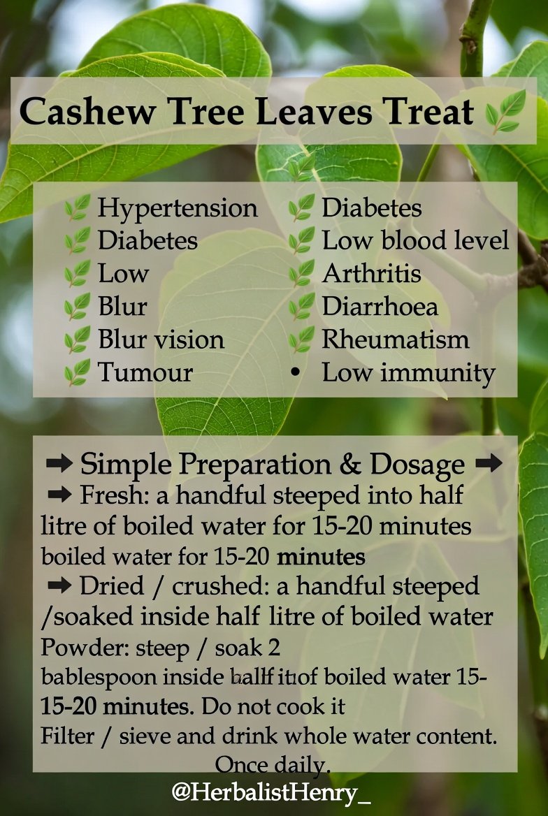 Herbalist Henry Foundation 🌴🌿 tweet media