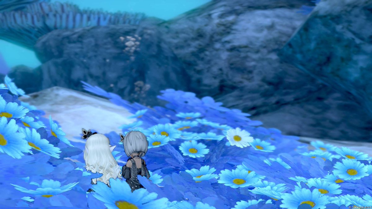 splgya's tweet photo. https://t.co/R61WMgTkjp