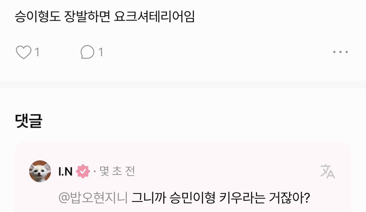 IN2128J's tweet photo. 👤만약 강아지라면, 승민과 같은 품종의 강아지일까요?
🦊난 요크셔테리어 좋아해

👤승이형도 장발하면 요크셔테리어임
🦊그니까 승민이형 키우라는 거잖아? https://t.co/e9nWzvy3mO