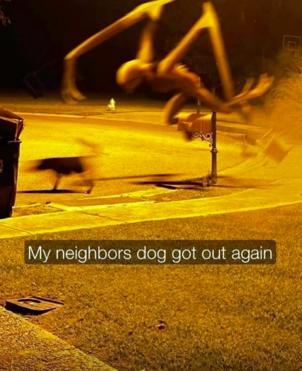 shitpost_2077's tweet photo. https://t.co/9xBQcuQCx9
