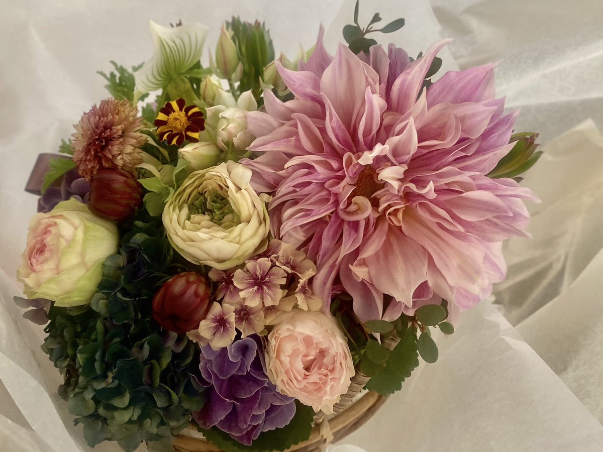 kotorihanaten's tweet photo. ᴜɴ ᴘʀᴇ́sᴇɴᴛ
ᴘᴏᴜʀ ᴄéʟéʙʀeʀ
ᴜɴ ᴊᴏᴜʀ ᴘʀéᴄɪeux       * https://t.co/dqp3EKEo7w