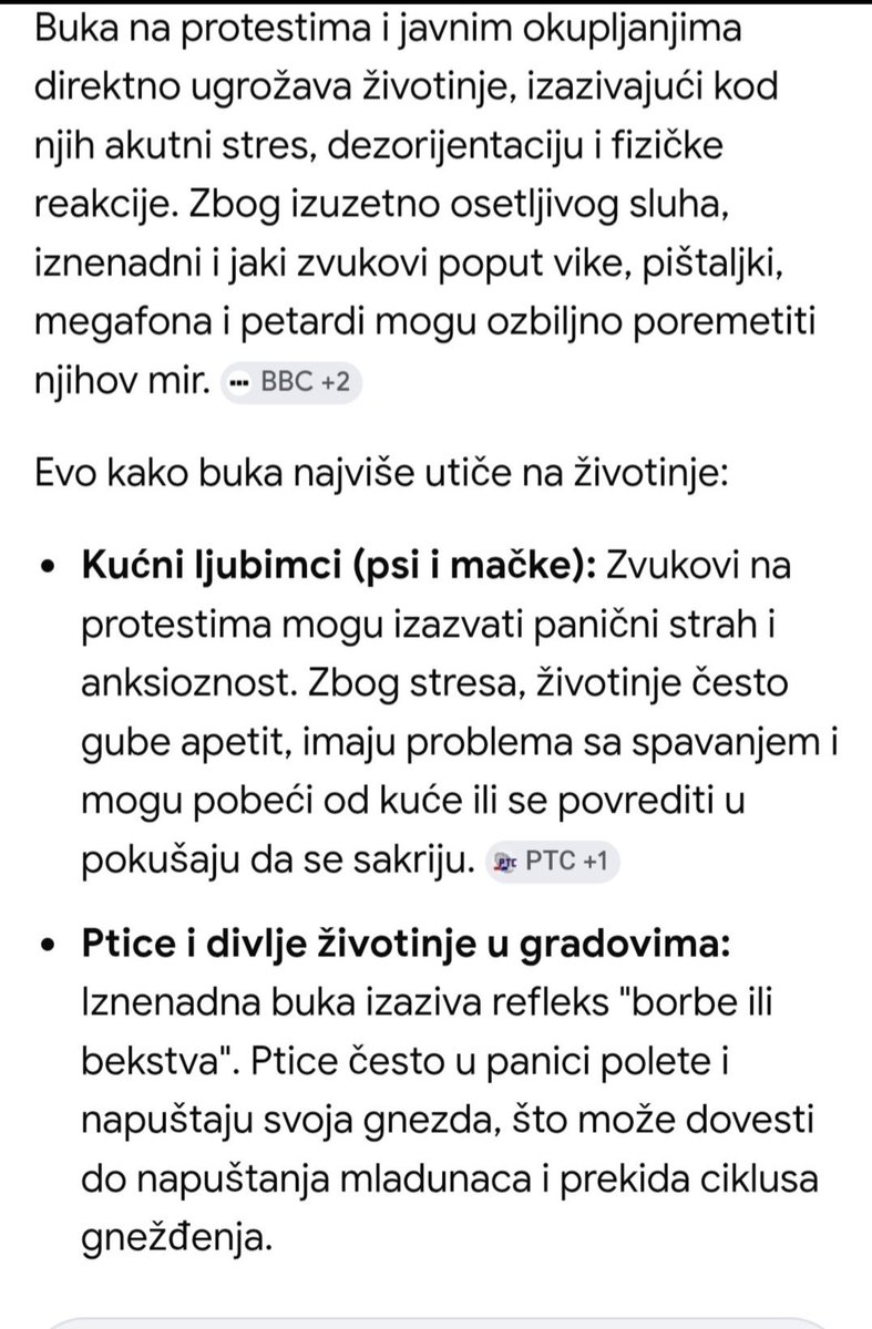 AnaAsfer tweet media