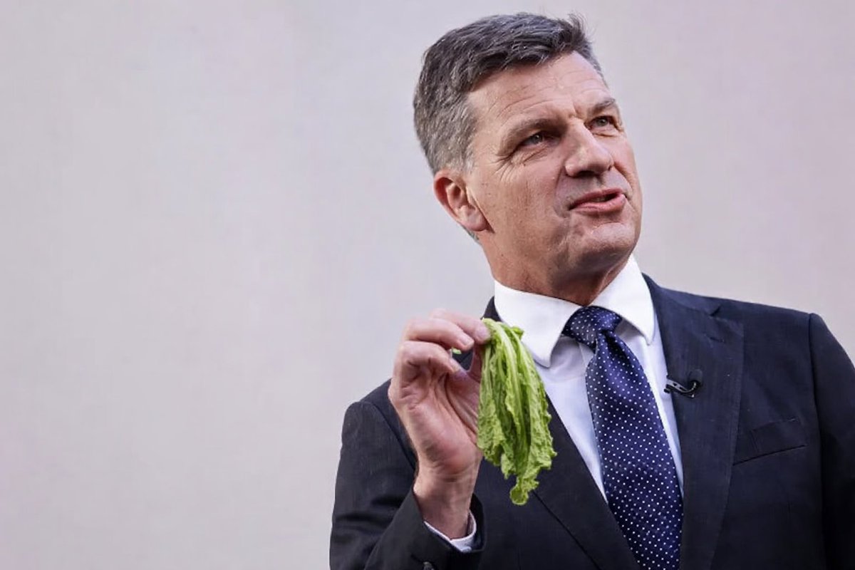 Roddlez1's tweet photo. Angus Taylor flogging the Labor party with a limp lettuce, inspired by the anachronistic Tony Abbott. Sad and pathetic. 
#TheProjectTV #liberalOz https://t.co/1GrCaDWExY