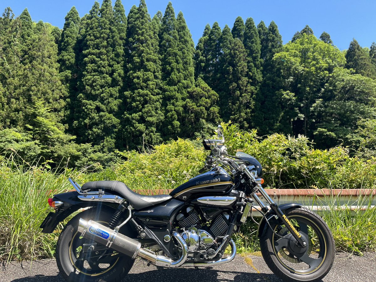 ynaka28's tweet photo. 先週買ったドラスタのタンデムバーをつけてみました。タンデムするわけではないですが🤣
今日は雲一つない快晴！（って写真見たら雲あった…）もう夏ですね😅

#神戸フルーツフラワーパーク 
#エリミネーター250v 
#ツーリング
#バイク好きな人と繋がりたいら https://t.co/ddlgB0ruK8