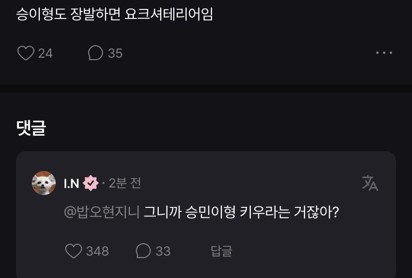 댕꾸 ◡̈ tweet media