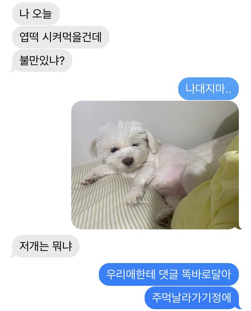 즈즈.. tweet media