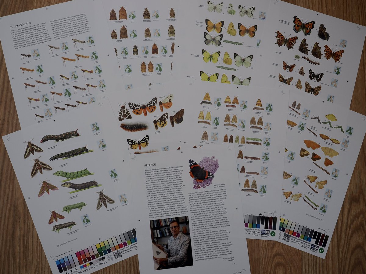 rlewington2's tweet photo. Proof prints have just arrived for what will probably be my swan song. 4,000+ illustrations of 2,000 species, edited with the greatest expertise by Phil Sterling &amp; Mark Parsons. Proofs look fantastic, published 26 November 2026. https://t.co/97RFT03FF8 https://t.co/58orRrn3hT