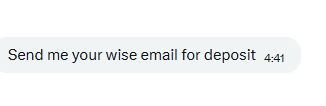 ObakeOccultus's tweet photo. @PuffinsArt @efeaysl @Cryos_End They are using the classic "send me your email" scam, beware. https://t.co/32yEvcjvu1