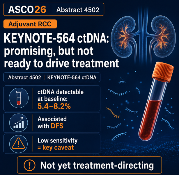 nataliagandur's tweet photo. 🟠 #ASCO26 GU biomarker highlight | RCC
Abstract 4502 | KEYNOTE-564 ctDNA analysis
Adjuvant pembrolizumab vs placebo in high-risk clear-cell RCC by @DrChoueiri 
@ASCO @OncoAlert 

Clinical question:
Can ctDNA help identify recurrence risk or treatment dynamics in patients receiving adjuvant pembrolizumab after nephrectomy for high-risk ccRCC?
Main finding:
Baseline ctDNA positivity was uncommon:
5.4% with the 16-plex assay
8.2% with the 64-plex assay
ctDNA positivity was negatively associated with DFS, and ctDNA change from baseline to cycle 5 day 1 was associated with DFS in both treatment arms.
Why it matters:
We urgently need better tools in adjuvant RCC to identify who is at highest risk, who benefits most, and who may be overtreated.
Important caveat:
The low detection rate matters. Baseline ctDNA had low sensitivity but high specificity for DFS prediction. This is not yet a treatment-selection tool for routine adjuvant RCC decision-making.
My take:
The biology is compelling, but RCC remains a difficult ctDNA disease. These data support continued MRD research, not ctDNA-driven withholding or escalation of adjuvant pembrolizumab today.
#KidneyCancer #RCC #ctDNA #GUonc #ASCO26