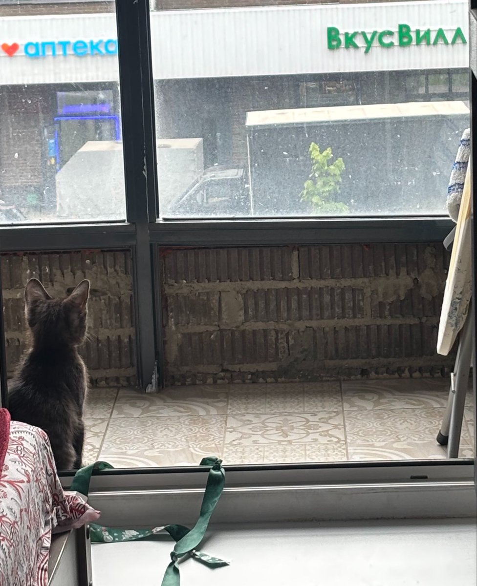 kerosmonster's tweet photo. у котёнка вкусвилловая депрессия в ноль (0) лет https://t.co/URrXxQ69iQ
