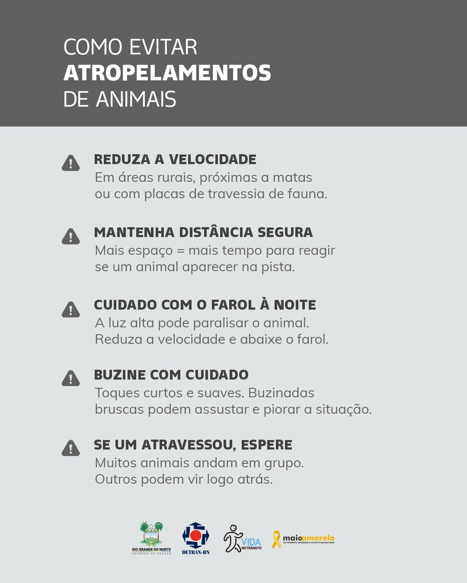 detran_rn's tweet photo. Um animal na pista não avisa. Velocidade compatível e atenção redobrada em trechos rurais fazem diferença real. 🐶🐱⚠️ https://t.co/7zb0MSBYs3