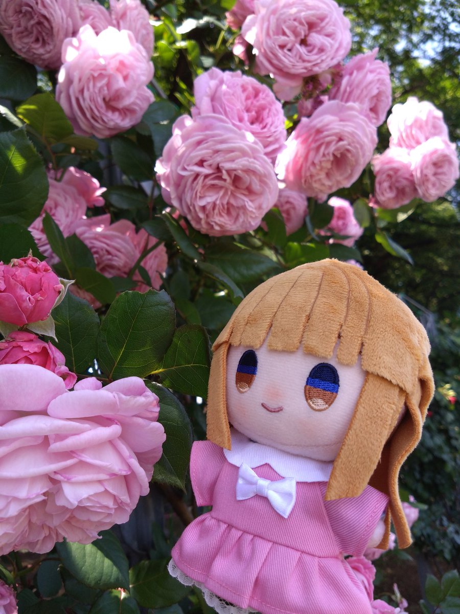 Ruby_Minami tweet picture