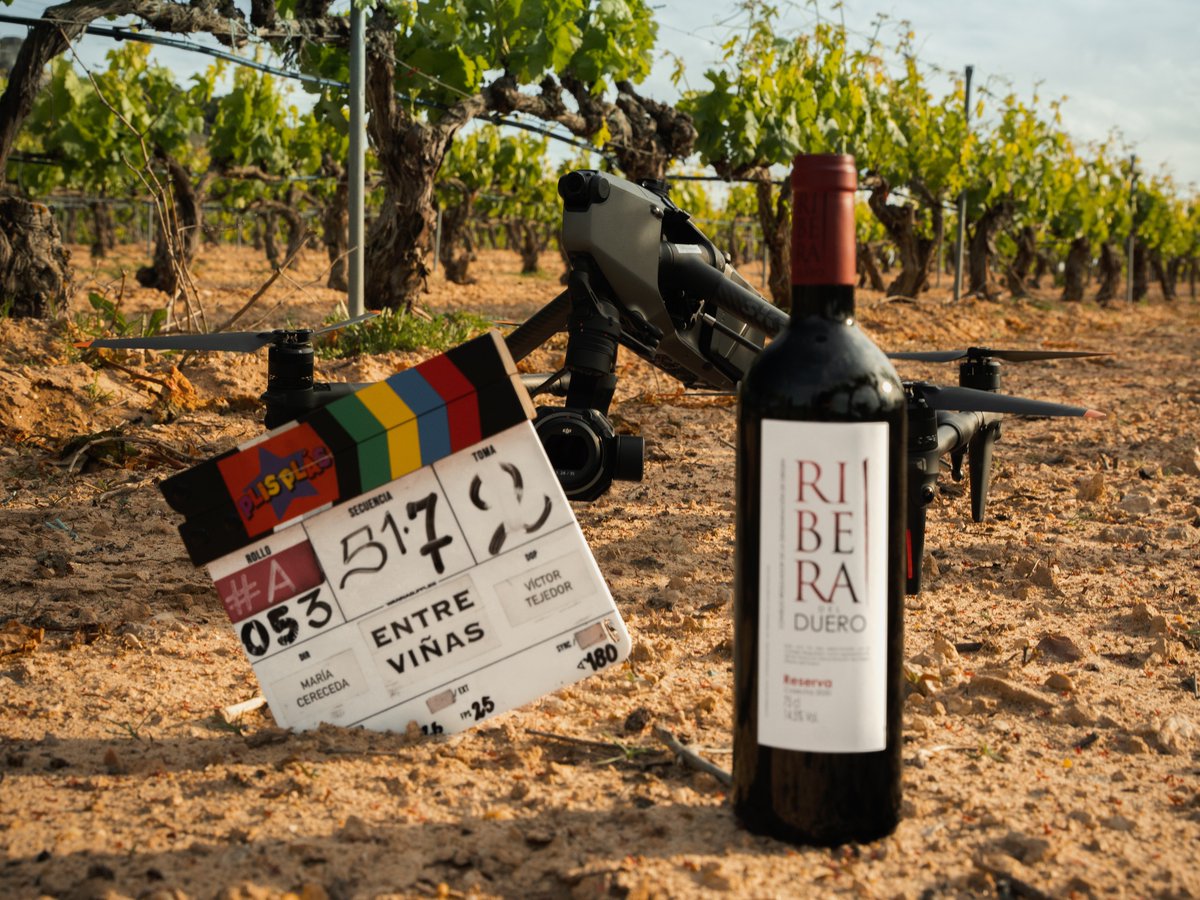 DORibera's tweet photo. Estos días, entre tractores, viñas ya brotadas y caminos de tierra que empiezan a llenarse de polvo con el calor de mayo, la Ribera del Duero ha cambiado el sonido de la poda y el embotellado por el de las claquetas.

Los viñedos de la D.O. Ribera del Duero han acogido el rodaje de “Entre Viñas”, la nueva película de María Cereceda (Los Serrano), con escenas grabadas en distintos puntos de la Ribera del Duero y un reparto lleno de caras muy conocidas como Elena Irureta, Edurne, Patricia Conde, Alejo Sauras, Unax Ugalde o Luis Fernández.

La película sigue a Plis Plas, un antiguo grupo musical infantil que triunfó hace décadas y que vuelve a reunirse para defender sus derechos de autor. Lo que empieza casi como una obligación termina removiendo heridas, recuerdos y vínculos que creían olvidados. Humor, reencuentros y mucha memoria emocional, con los viñedos de Ribera del Duero de fondo.

No es la primera producción que encuentra aquí un escenario perfecto, y probablemente tampoco será la última. Porque hay paisajes que no necesitan artificio para transmitir algo.

La Ribera del Duero lleva años demostrando que también puede contarse desde el cine.

El film, producido por Onza Euskadi y A Contracorriente Films, tiene previsto su estreno en el primer semestre de 2027 y cuenta con la colaboración de Prime Video y RTVE así como del ICAA y  de las diputaciones de Valladolid y Burgos.
