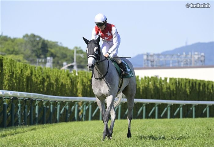 keibalab's tweet photo. 【ああっ女神さまっ！】
26年葵S1着
デアヴェローチェ
Dea Veloce
(牝3、栗東・上村洋行厩舎) 北村友一騎手
父マテラスカイ
母ミニーアイル
母父ミッキーアイル
馬名意味"女神(イタリア語)＋冠名"
#デアヴェローチェ #北村友一 #葵S 
https://t.co/ObL0fbT2Zh https://t.co/fLQKzZhaGb
