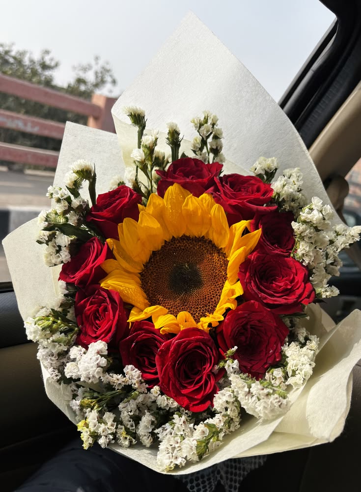 softpetalview's tweet photo. https://t.co/FxKII6jEOR