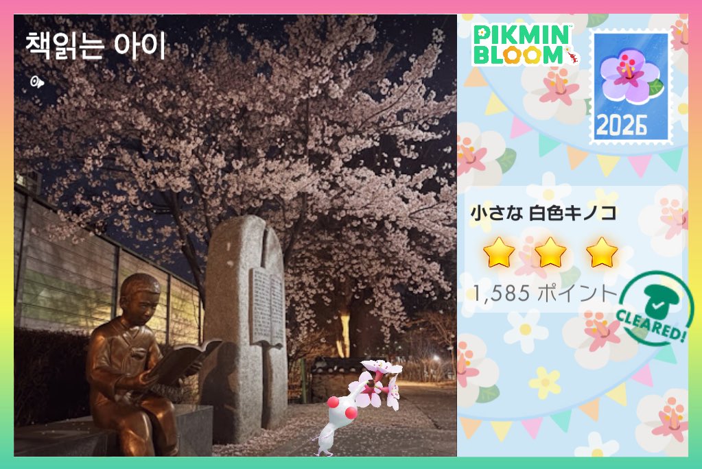 wings361234's tweet photo. 🌸🌸🌸🌸
#PikminBloom https://t.co/dYkV4WwzmY