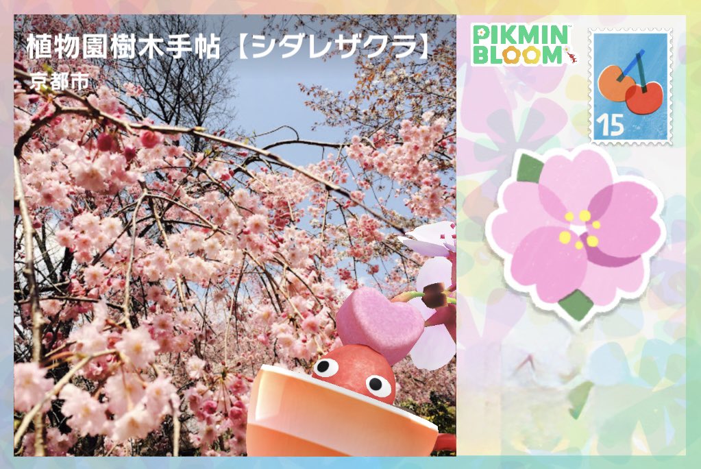 wings361234's tweet photo. 🌸🌸🌸🌸
#PikminBloom https://t.co/dYkV4WwzmY