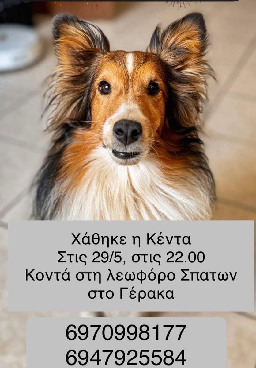 rikoulini's tweet photo. 🆘🆘την ψάχνουν https://t.co/OzM72WkFph