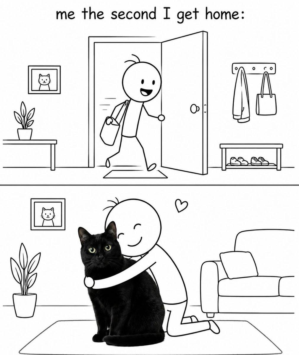 Catpostx's tweet photo. No time is wasted! https://t.co/ivDDSiDqfQ
