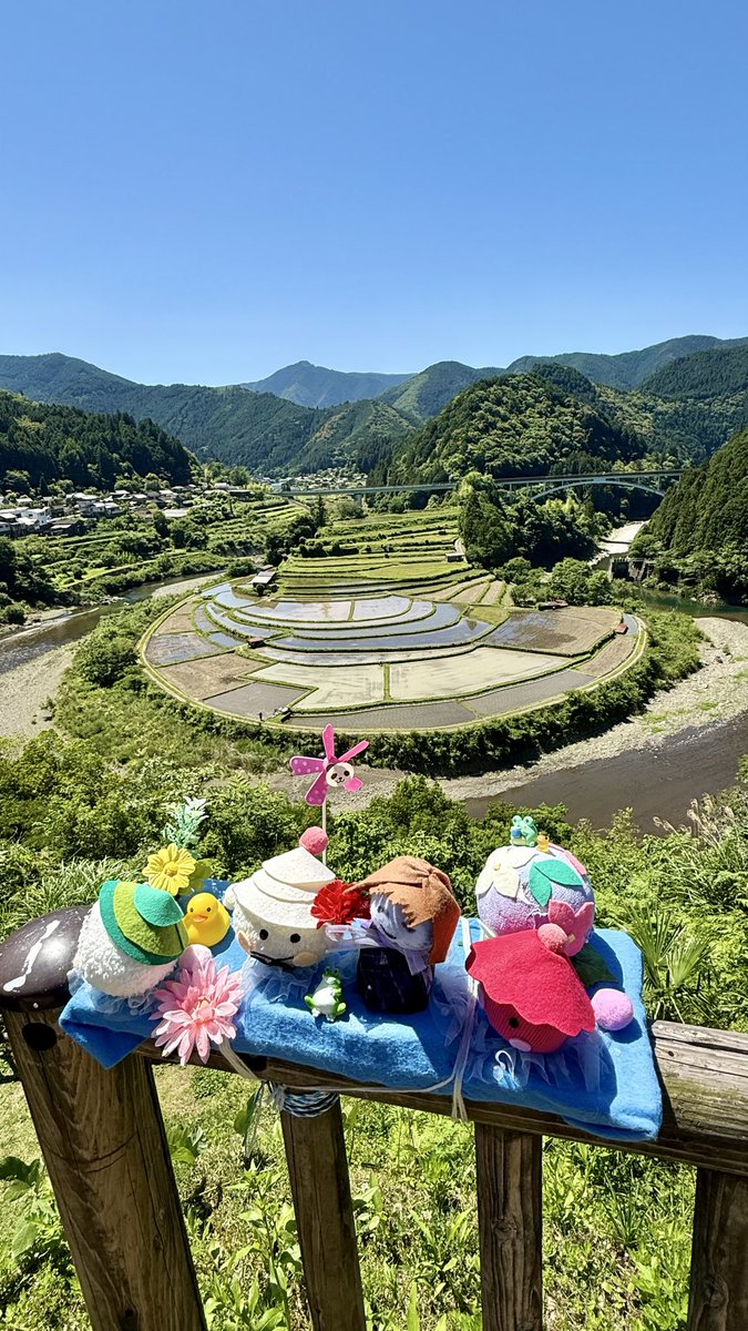 FXDF_FATBOB_BOB's tweet photo. 朝から快晴！☀️
久しぶりに和歌山へ🏍️💨

田植え中の長閑な
あらぎ島🏞️
青い海と白い岩が美しい
白崎海洋公園🌊

青空の下
気持ちよく走れました😊 https://t.co/QAkHTwivxx
