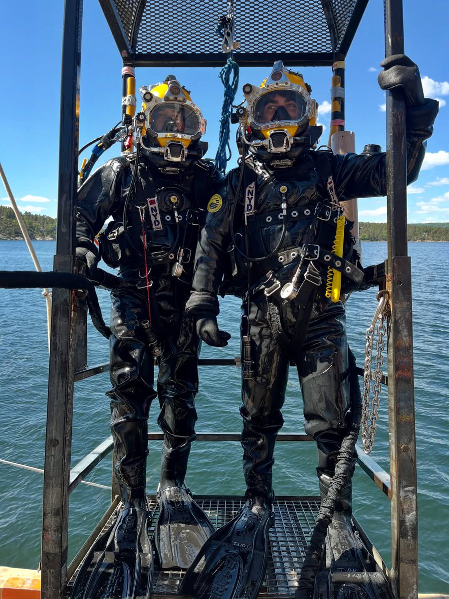 los_scuba's tweet photo. https://t.co/AnDa25pK58