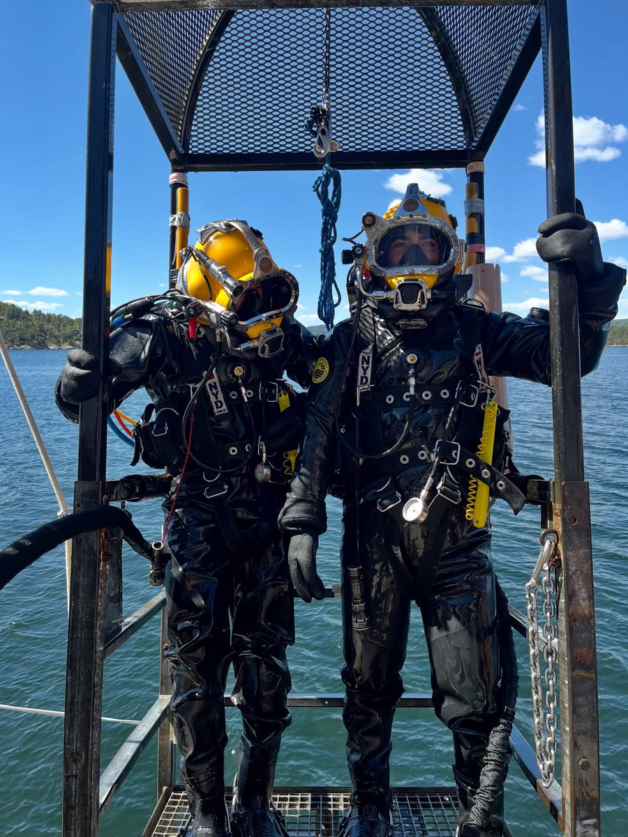 los_scuba's tweet photo. https://t.co/AnDa25pK58
