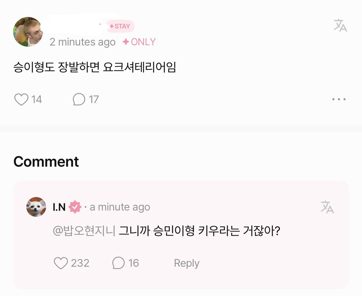 SeungIN tweet media