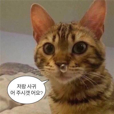 얼음❄️ tweet media